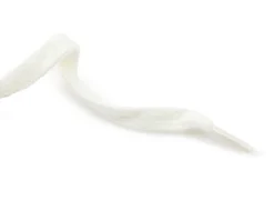 Tinted shoelaces